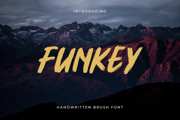 Funkey: A Script Typeface for Digital Design