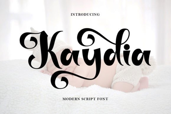 Kaydia Font: A Warm Typeface for Branding