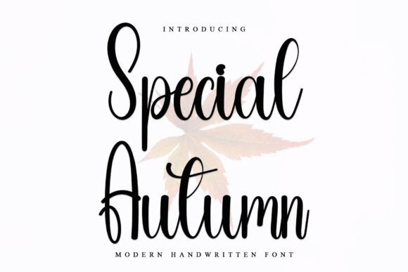 Special Autumn: A Script Font for Modern Brands